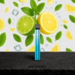 Elfbar 600 V2 | Mojito 2%