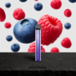 Elfbar 600 V2 | Blueberry Raspberry 2%