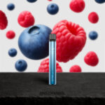 Elfbar 600 V2 | Blueberry Sour Raspberry 2%
