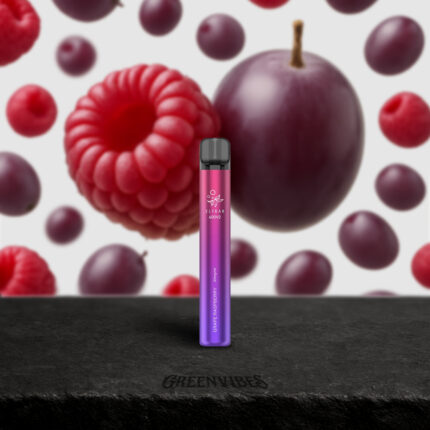 Elfbar 600 V2 | Grape Raspberry 2%