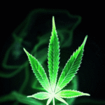 Emerald Breath – Wallpaper